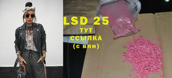 дживик Няндома