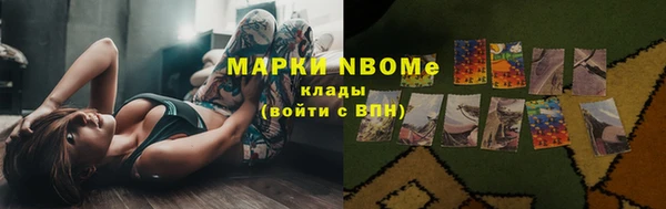 дживик Няндома