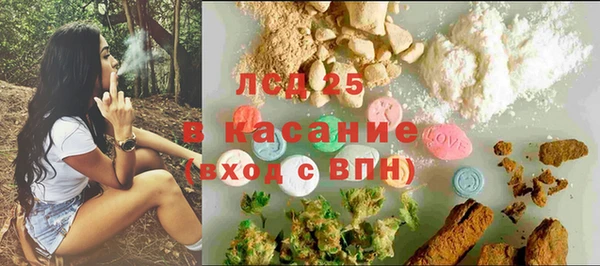 дживик Няндома