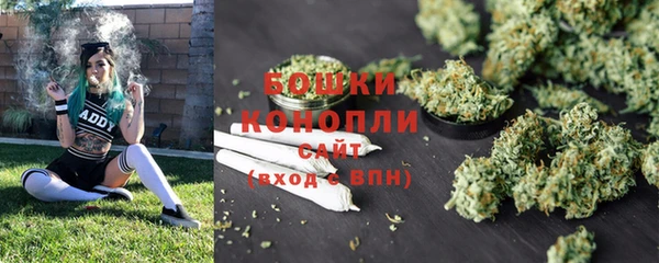 дживик Няндома