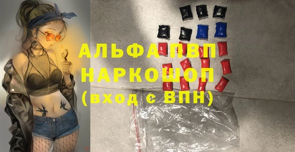 дживик Няндома