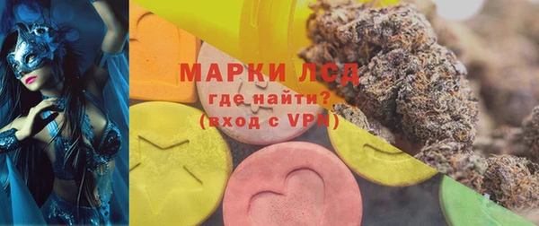 дживик Няндома