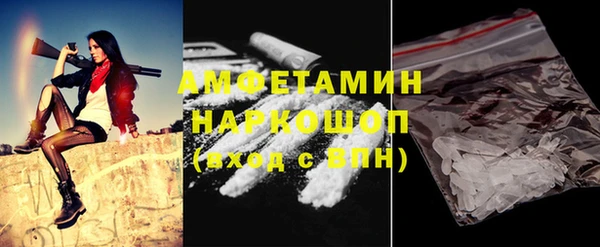 дживик Няндома